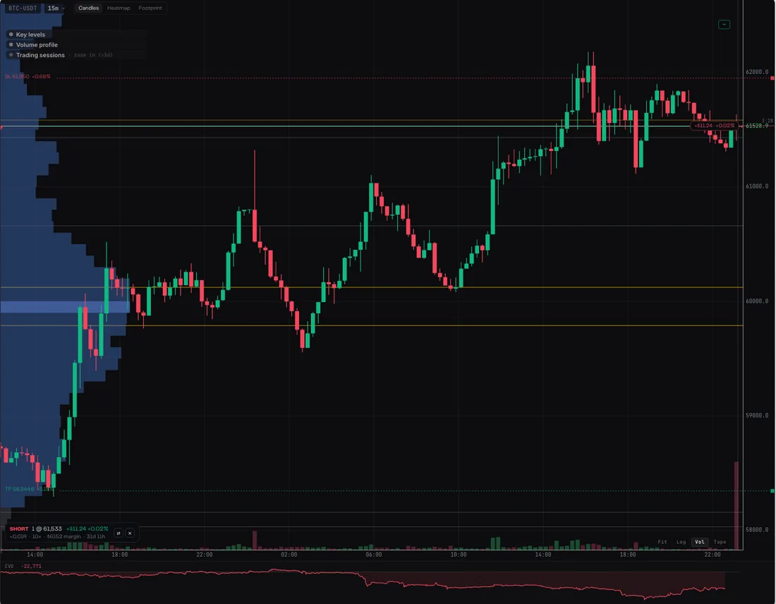 Candles with volume profile and key levels